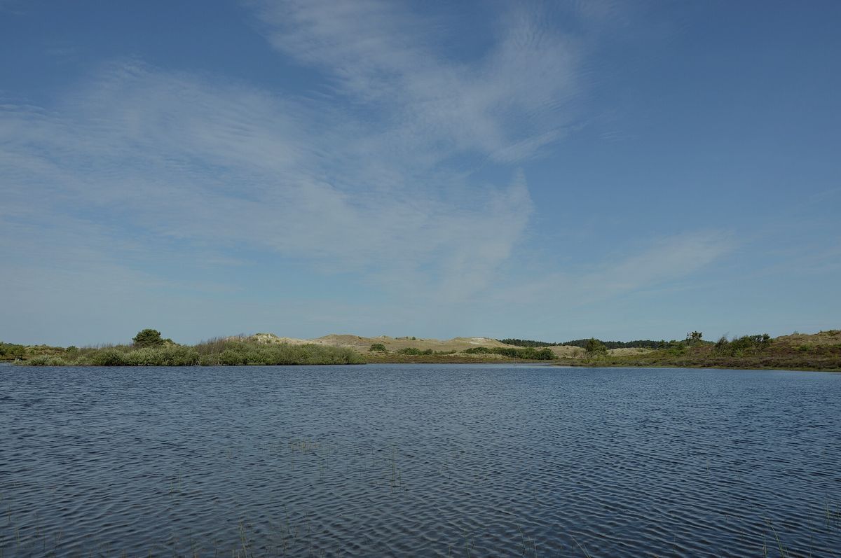 A dune lake in Noord-Holland